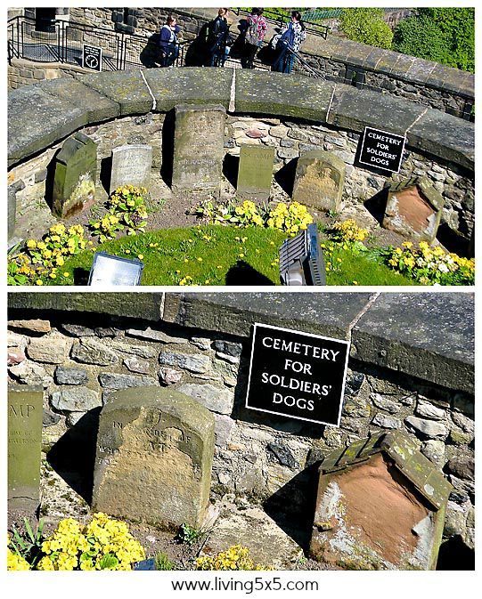 See more of Edinburgh Castle and Holyrood Palace to inspire your next destination trip!