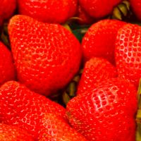 Farmers’ Markets in Sacramento