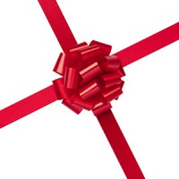 Christmas Gift Guide