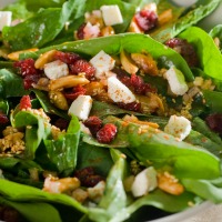 Bacon Cranberry Salad on a Spinach Bed