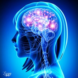 The Neuroscience of Happiness