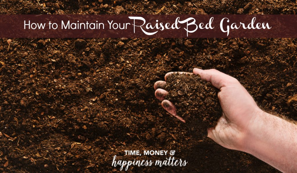 How to Maintain Your Raised Bed Garden Happiness Matters